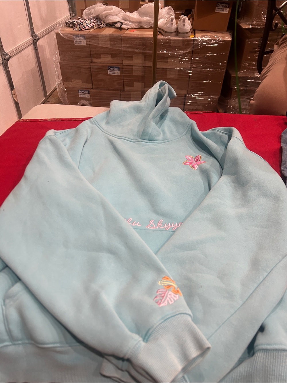 Light Blue Embroidered Pullover Hoodie